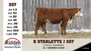 Lot #357 - R STARLETTE J 357