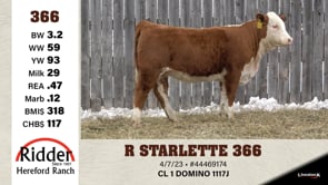 Lot #366 - R STARLETTE 366
