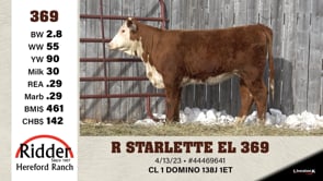 Lot #369 - R STARLETTE el 369