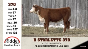 Lot #370 - R STARLETTE 370