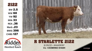 Lot #2122 - R STARLETTE 2122