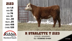Lot #2123 - R STARLETTE T 2123