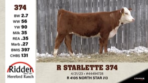 Lot #374 - R STARLETTE 374