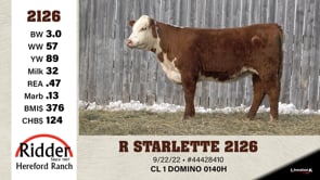 Lot #2126 - R STARLETTE 2126