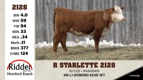 Lot #2128 - R STARLETTE 2128