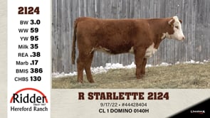 Lot #2124 - R STARLETTE 2124