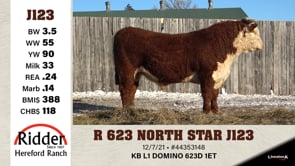 Lot #J123 - R 623 NORTH STAR J123