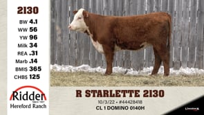 Lot #2130 - R STARLETTE 2130