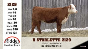 Lot #2129 - R STARLETTE 2129