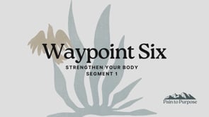 Related Embedded Video Item Thumbnail