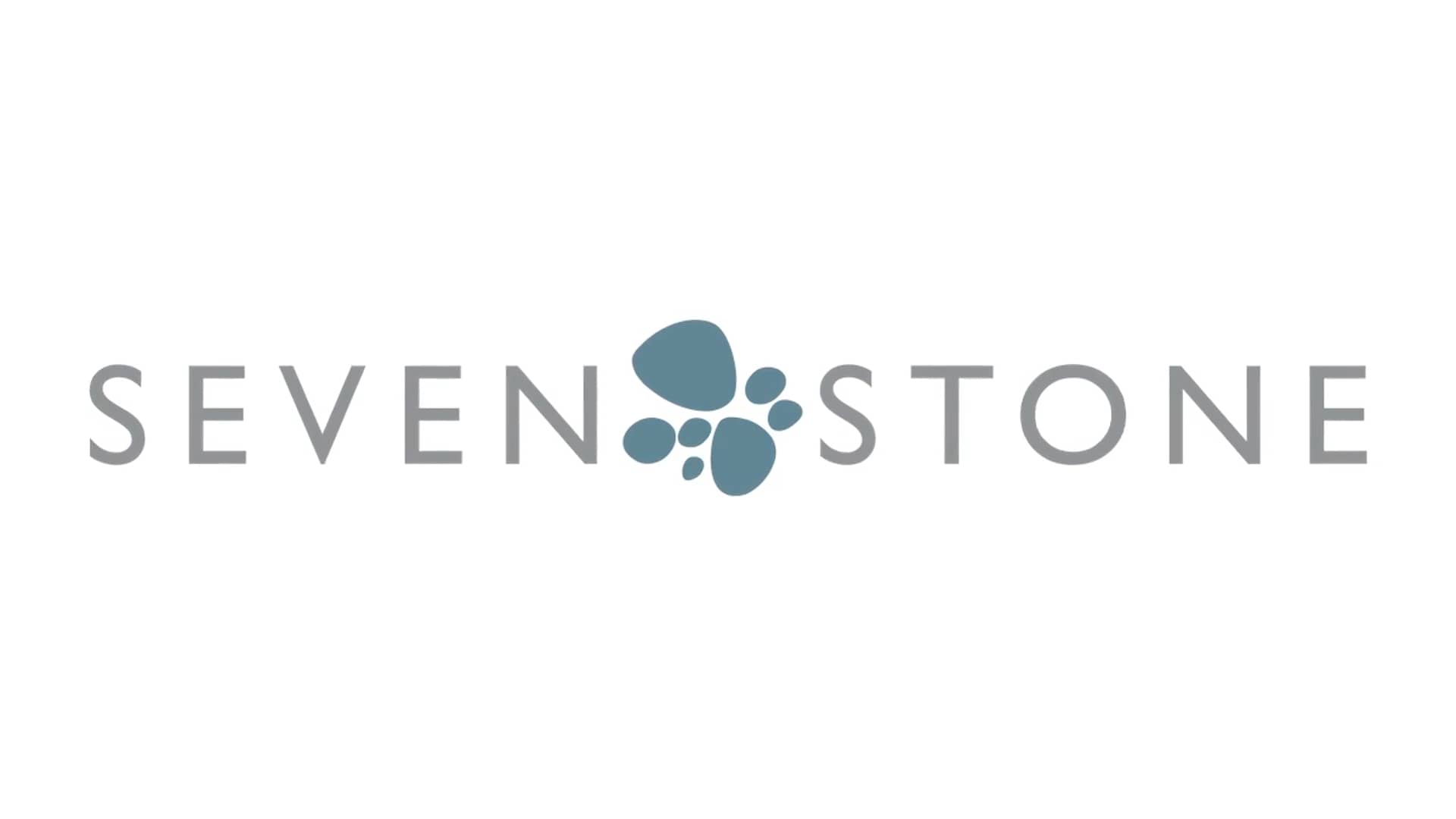 Seven Stone on Vimeo