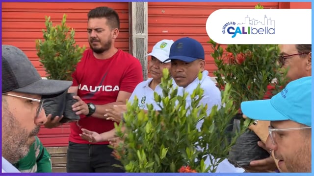 CCC_ Mi Cali Bella Barrio Obrero