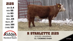 Lot #2125 - R STARLETTE 2125
