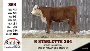Lot #364 - R STARLETTE 364