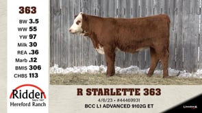 Lot #363 - R STARLETTE 363