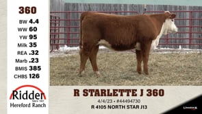 Lot #360 - R STARLETTE J 360