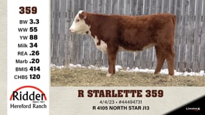 Lot #359 - R STARLETTE 359