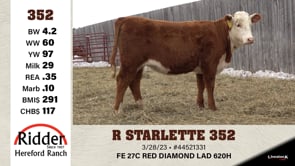 Lot #352 - R STARLETTE 352
