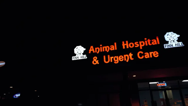 Porter pet best sale hospital near me