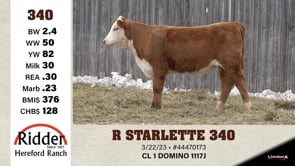 Lot #340 - R STARLETTE 44470173