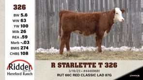 Lot #326 - R STARLETTE T 326