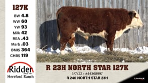 Lot #127K - R 23H NORTH STAR 127K