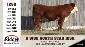 Lot #125K - R 9102 NORTH STAR 125K