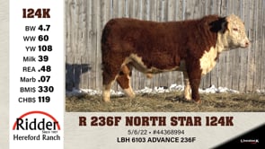 Lot #124K - R 236F NORTH STAR 124K