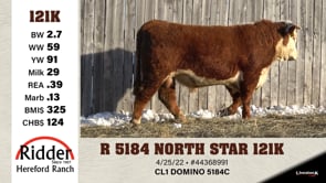 Lot #121K - R 5184 NORTH STAR 121K