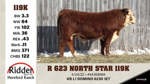 Lot #119K - R 623 NORTH STAR 119K