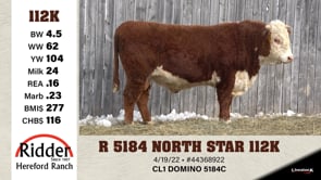 Lot #112K - R 5184 NORTH STAR 112K