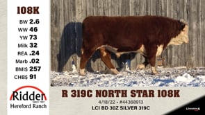 Lot #108K - R 319C NORTH STAR 108K