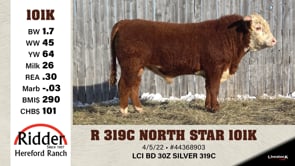 Lot #101K - R 319C NORTH STAR 101K