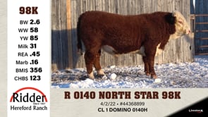 Lot #98K - OUT - R 0140 NORTH STAR 98K