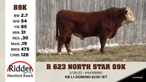 Lot #89K - R 623 NORTH STAR 89K