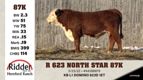 Lot #87K - R 623 NORTH STAR 87K