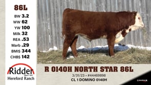 Lot #86L - R 0140H NORTH STAR 86L