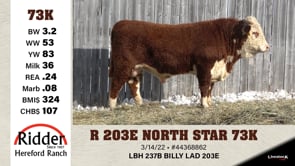 Lot #73K - OUT - R 203E NORTH STAR 73K
