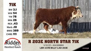 Lot #71K - R 203E NORTH STAR 71K
