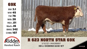 Lot #69K - R 623 NORTH STAR 69K