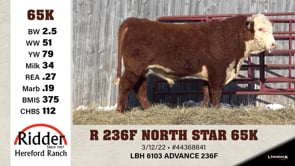 Lot #65K - R 236F NORTH STAR 65K