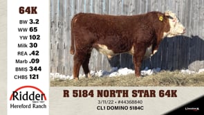 Lot #64K - R 5184 NORTH STAR 64K