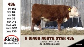 Lot #43L - R 0140H NORTH STAR 43L