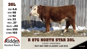 Lot #30L - R 87G NORTH STAR 30L