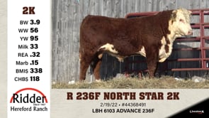 Lot #2K - R 236F NORTH STAR 2K