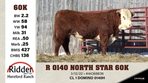 Lot #60K - R 0140 NORTH STAR 60K