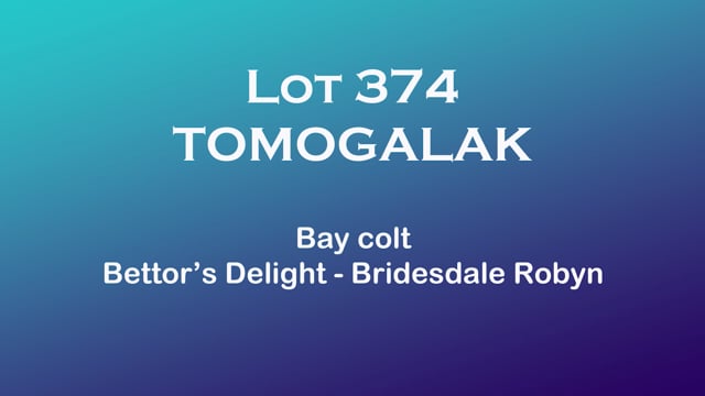Lot 374