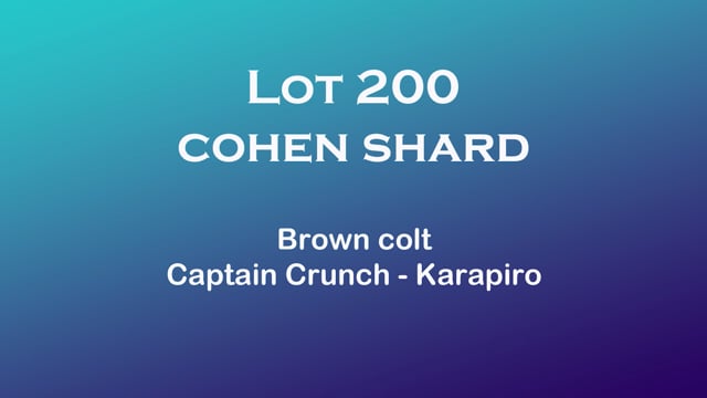 Lot 200