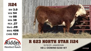 Lot #J124 - R 623 NORTH STAR J124