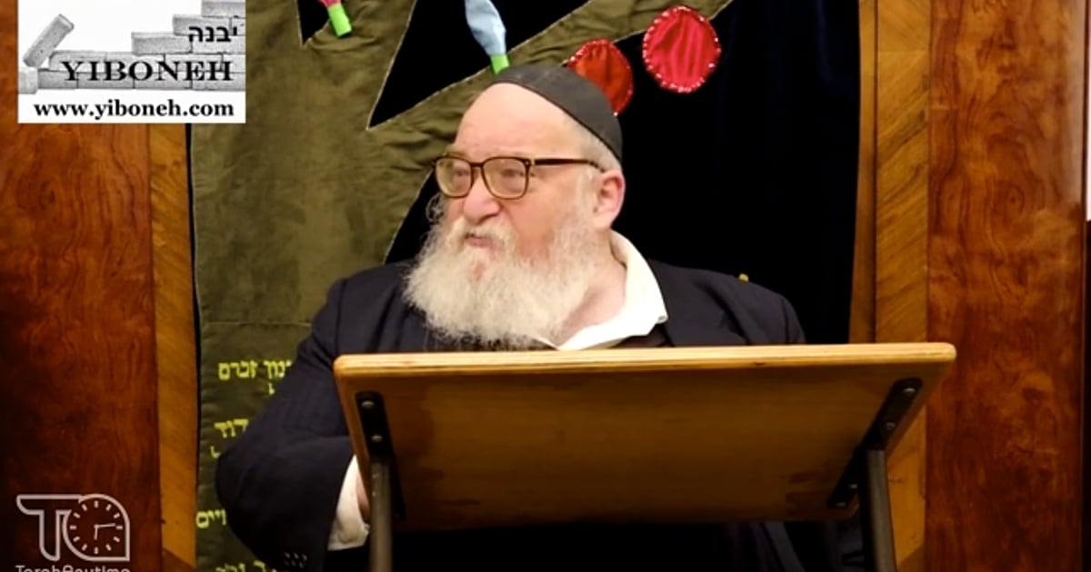 R' Yitzchak Breitowitz | Parshat Beshalach: Mindfulness, Gratitude, & Unity